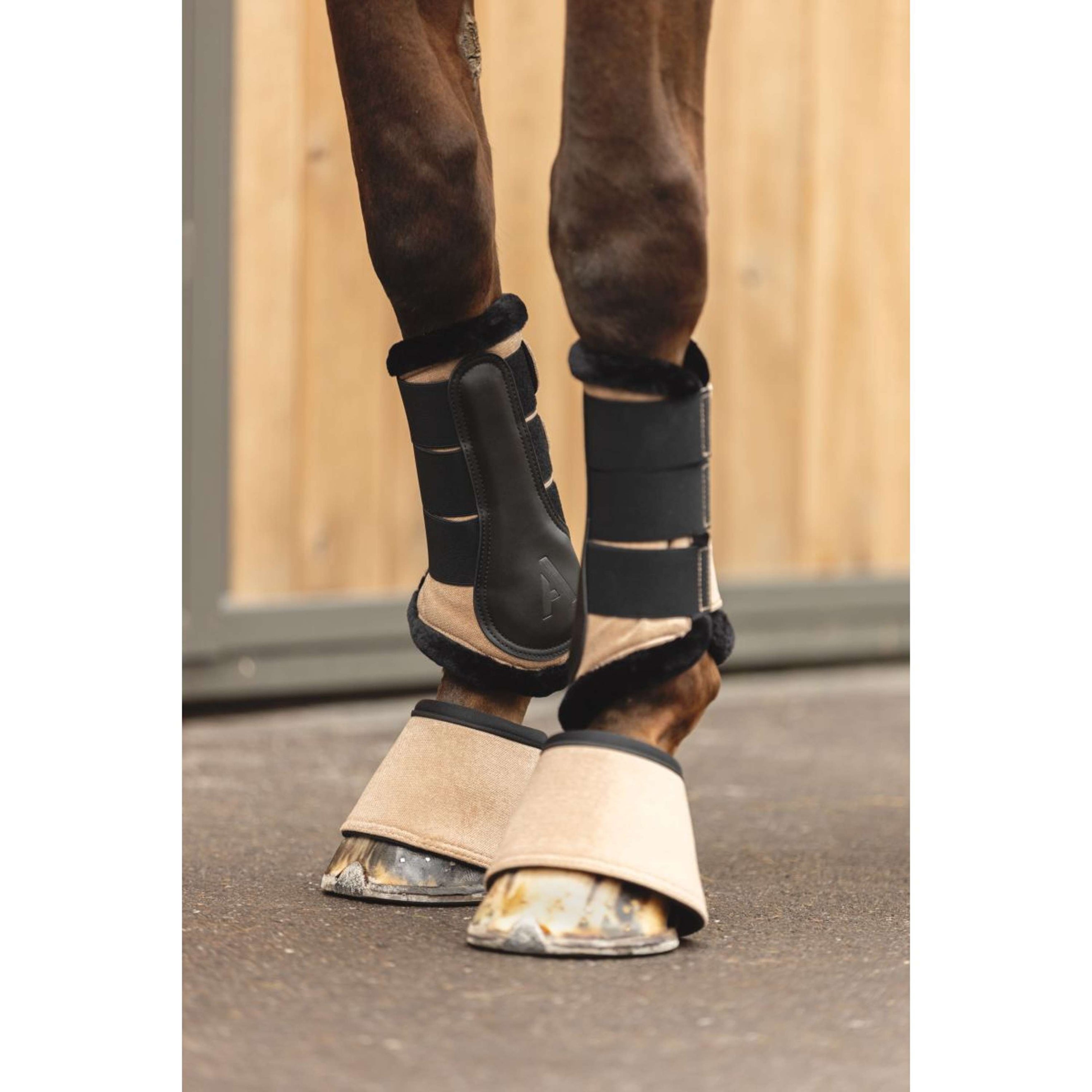 ANKY Botas para Caballos AW25 Amphora