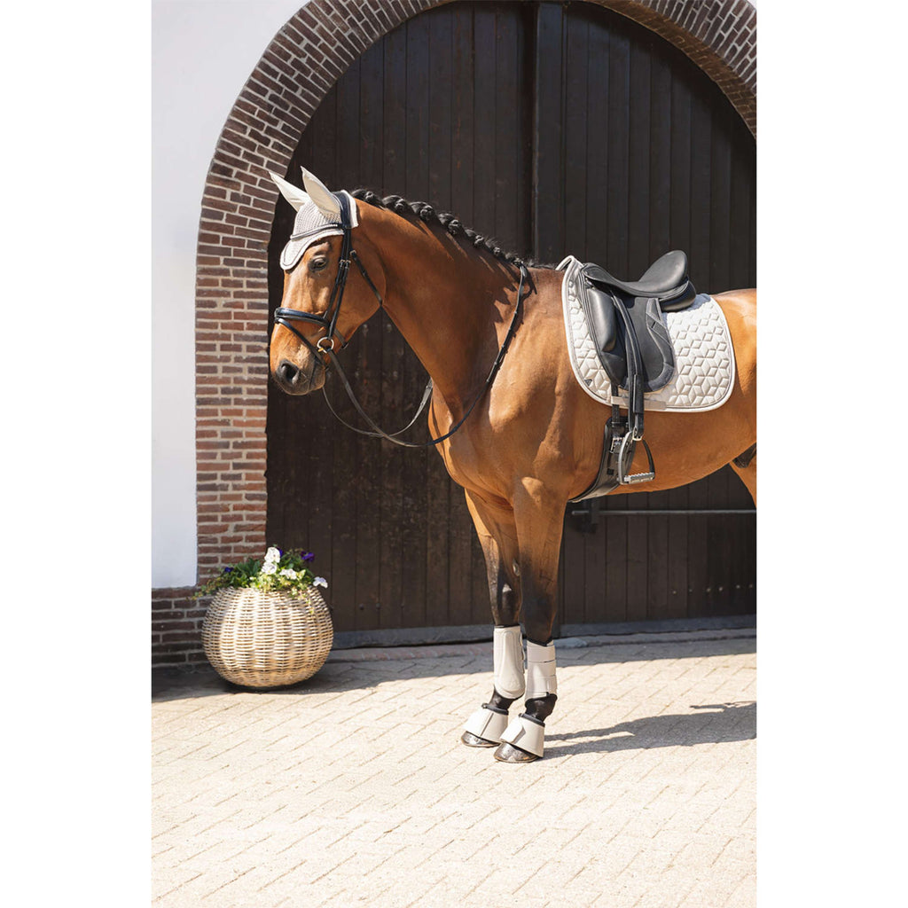 ANKY Botas para Caballos Bell ATB261003 Island Fossil
