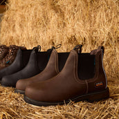 Ariat Botines Groundbreaker Chelsea Waterproof Steel Toe Hombres Marron