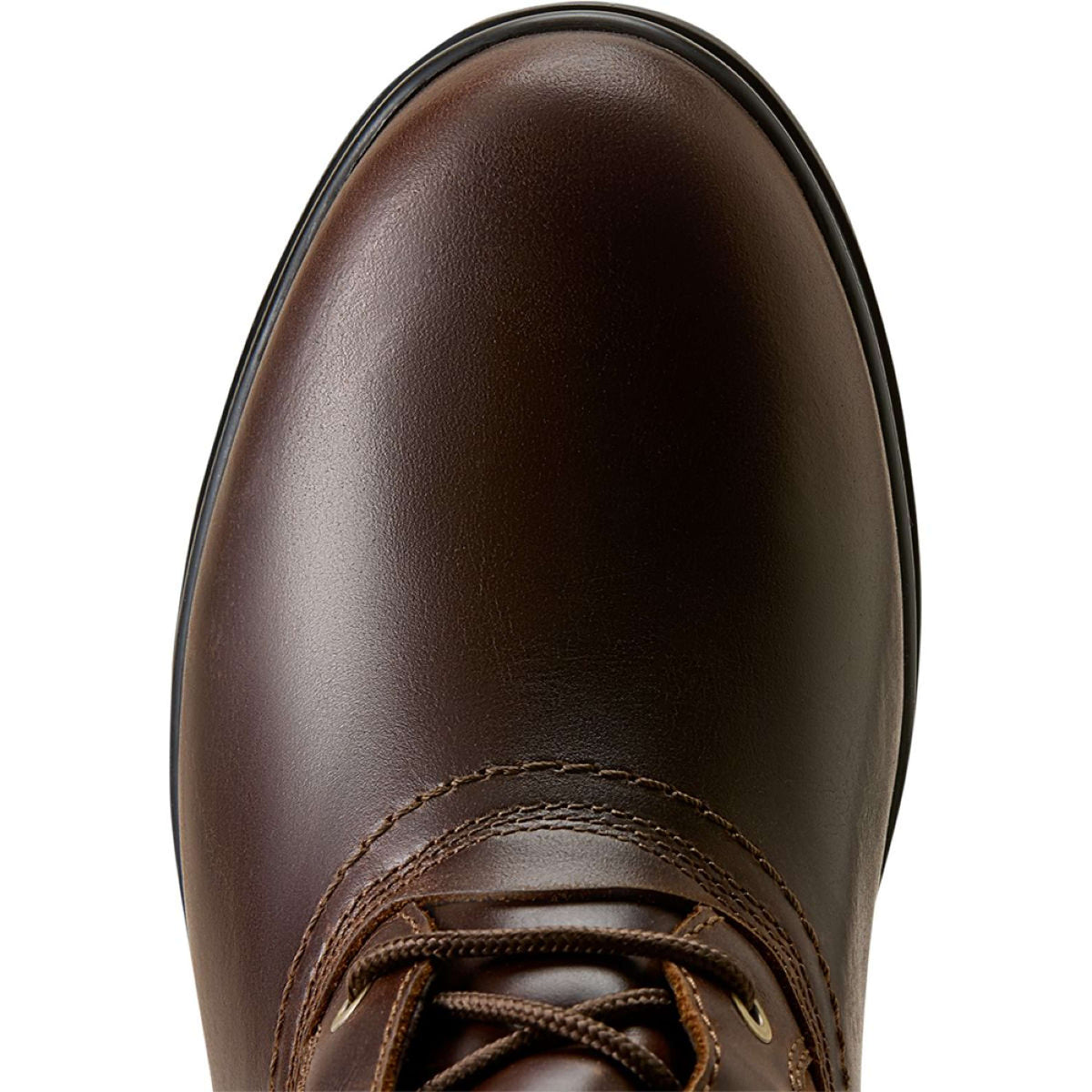 Ariat Botas de Equitación de Invierno Wythburn H2O Mujer Tabacco Brown