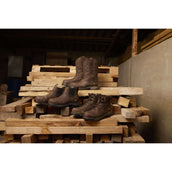 Ariat Botines Riverter Chelsea H20 Mujer Marron oscuro