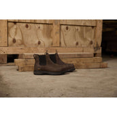 Ariat Botines Riverter Chelsea H20 Mujer Marron oscuro