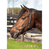 Harry's Horse Juego de Cabestro Kirchberg Jet Black