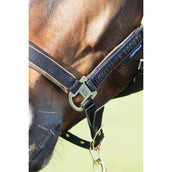 Harry's Horse Juego de Cabestro Kirchberg Jet Black