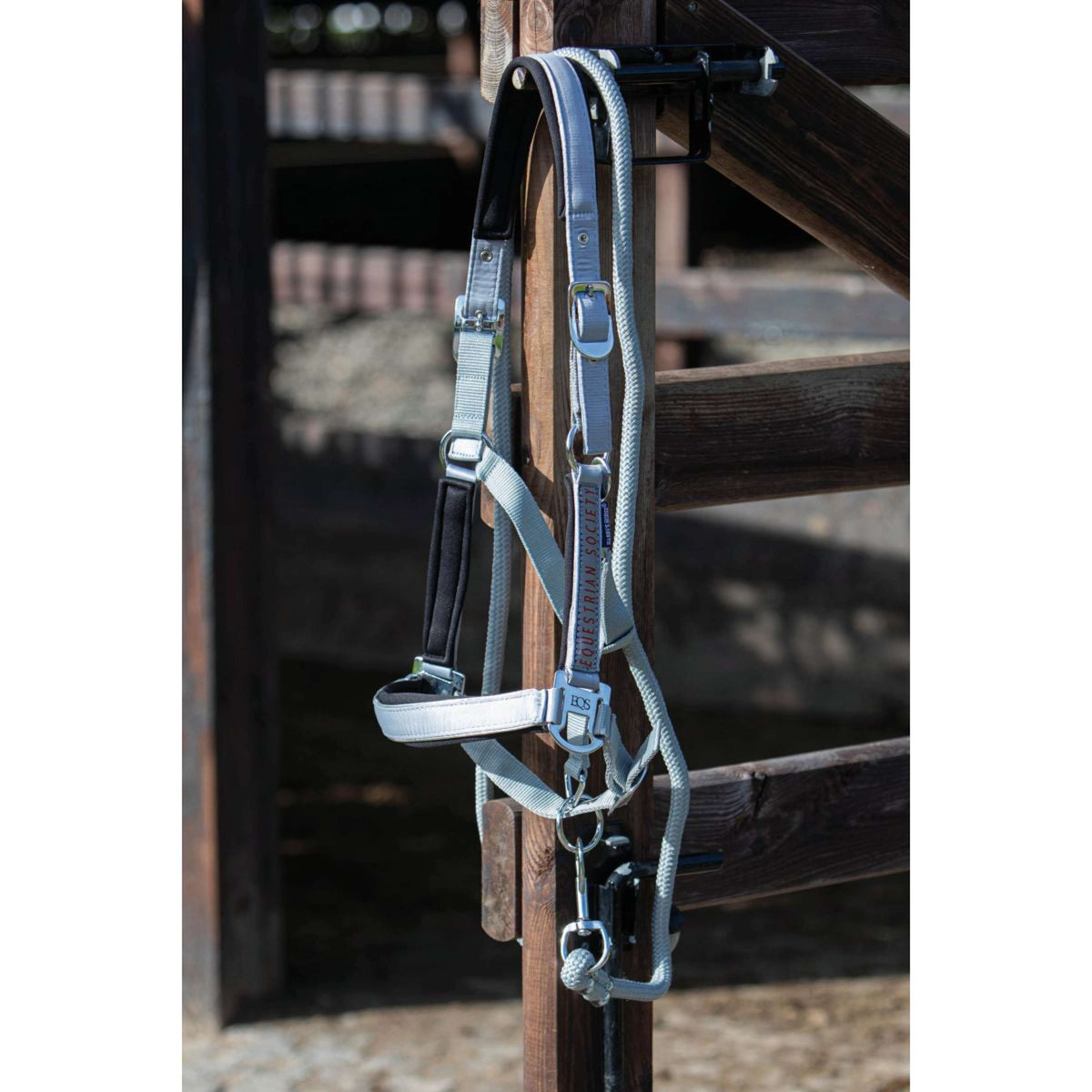 Harry's Horse Juego de Cabestro Kirchberg Monumento