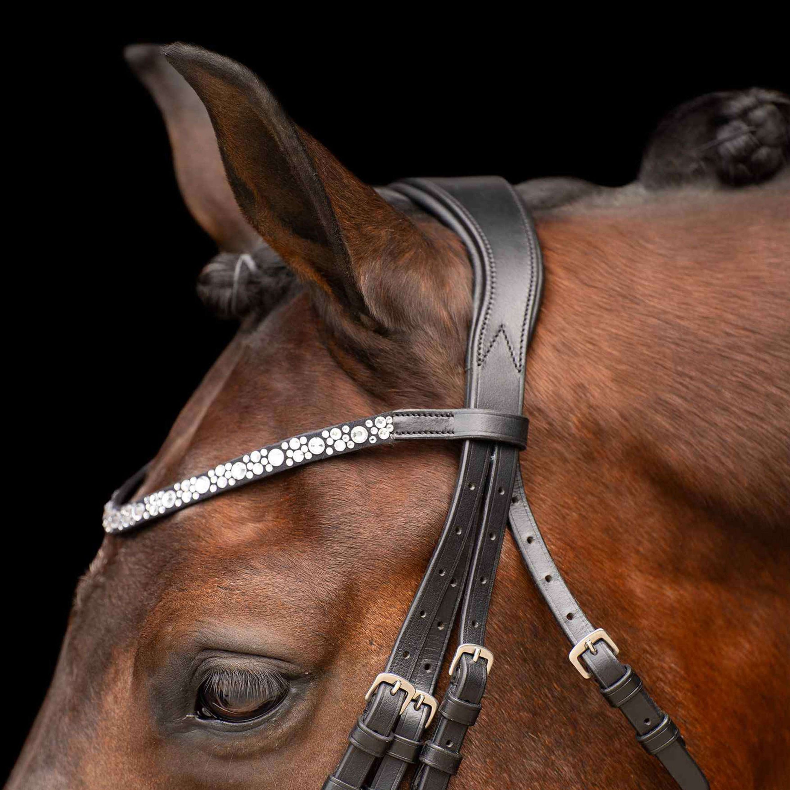 Imperial Riding Brida Doble IRHOlympia Negro/Blanco Imperial Riding Brida Doble IRHOlympia Negro/Blanco