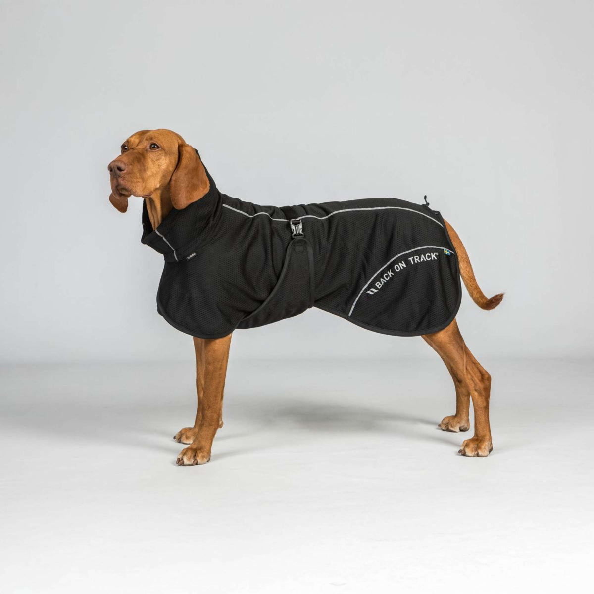 Back on Track Abrigo para Perro BAY Mesh Negro