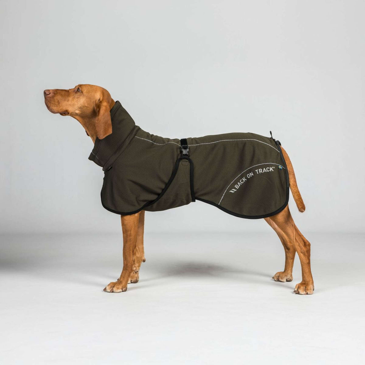 Back on Track Abrigo para Perro BAY Mesh Oliva
