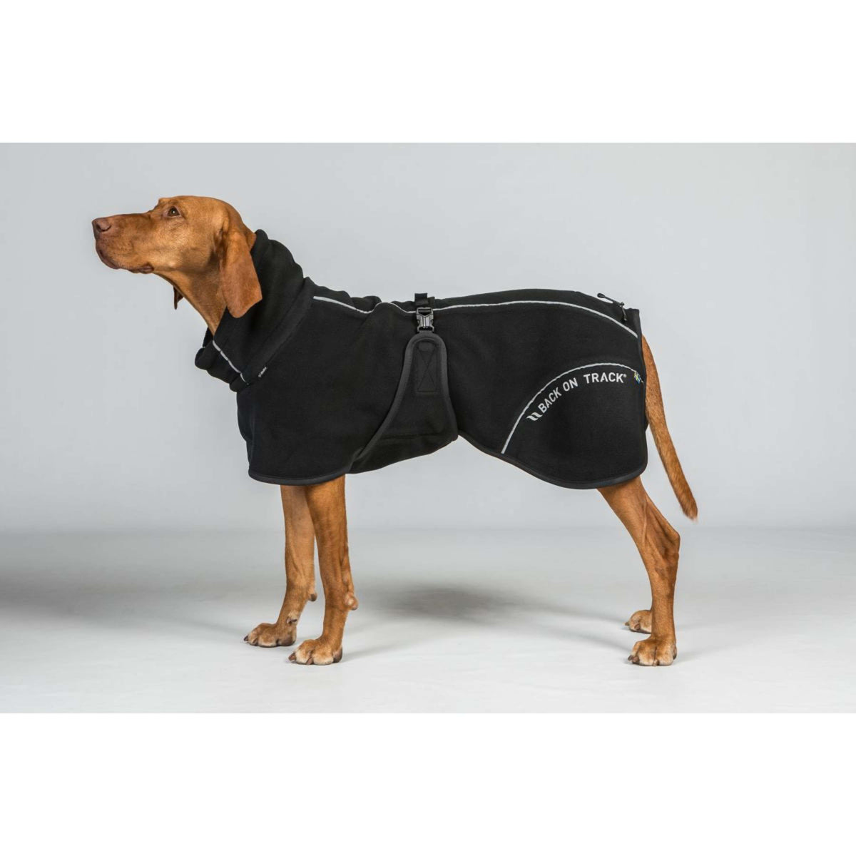 Back on Track Abrigo para Perro BAY Fleece Negro