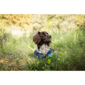 Cool on Track Abrigo para Perro 2.0 Azul