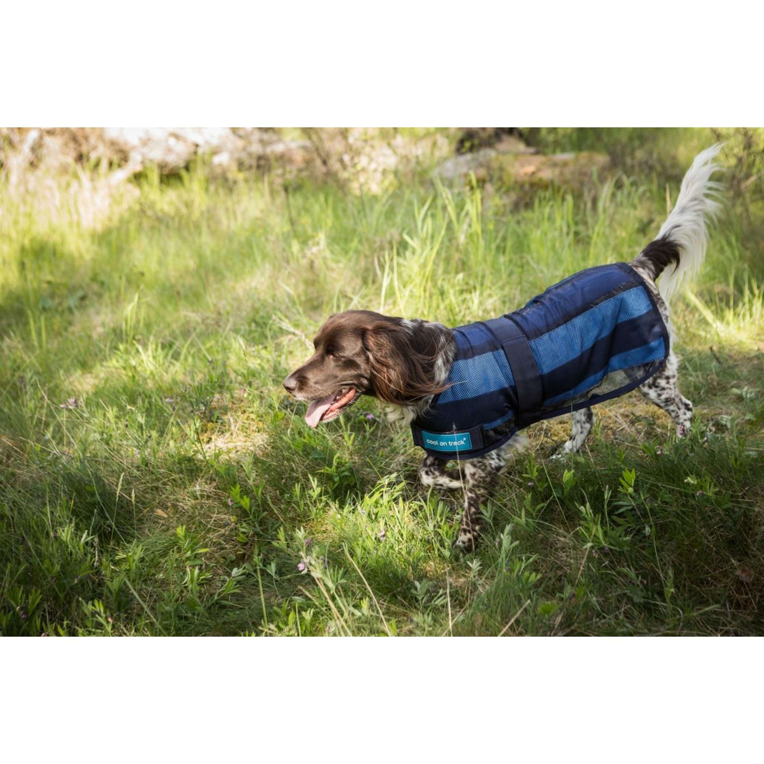 Cool on Track Abrigo para Perro 2.0 Azul