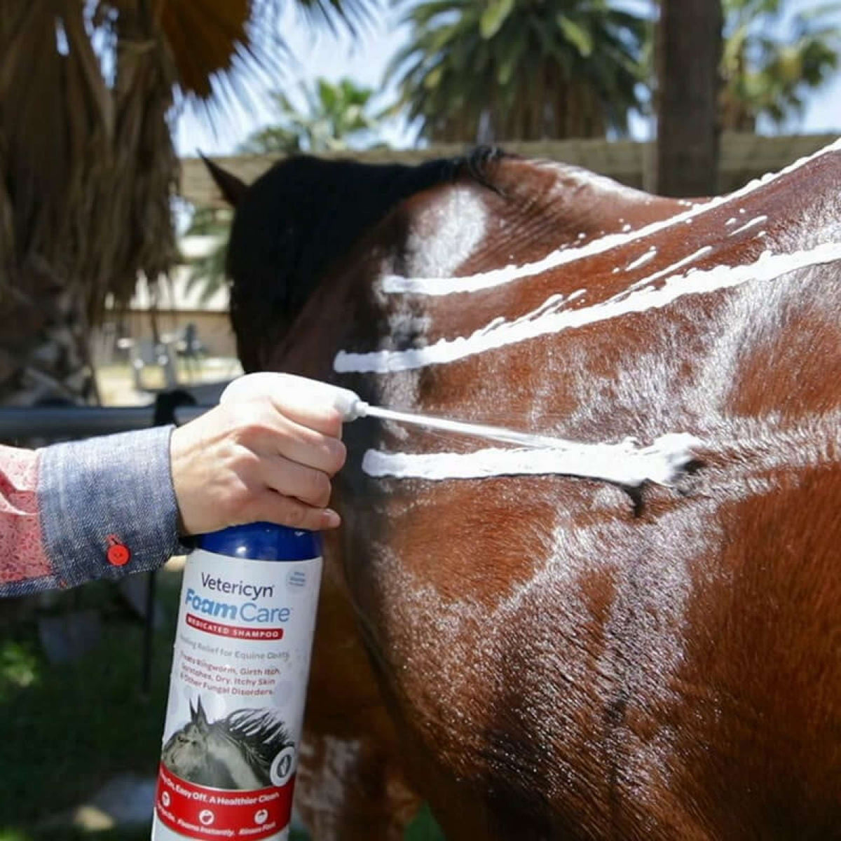 Vetericyn Foamcare Champú Medicado para Caballos