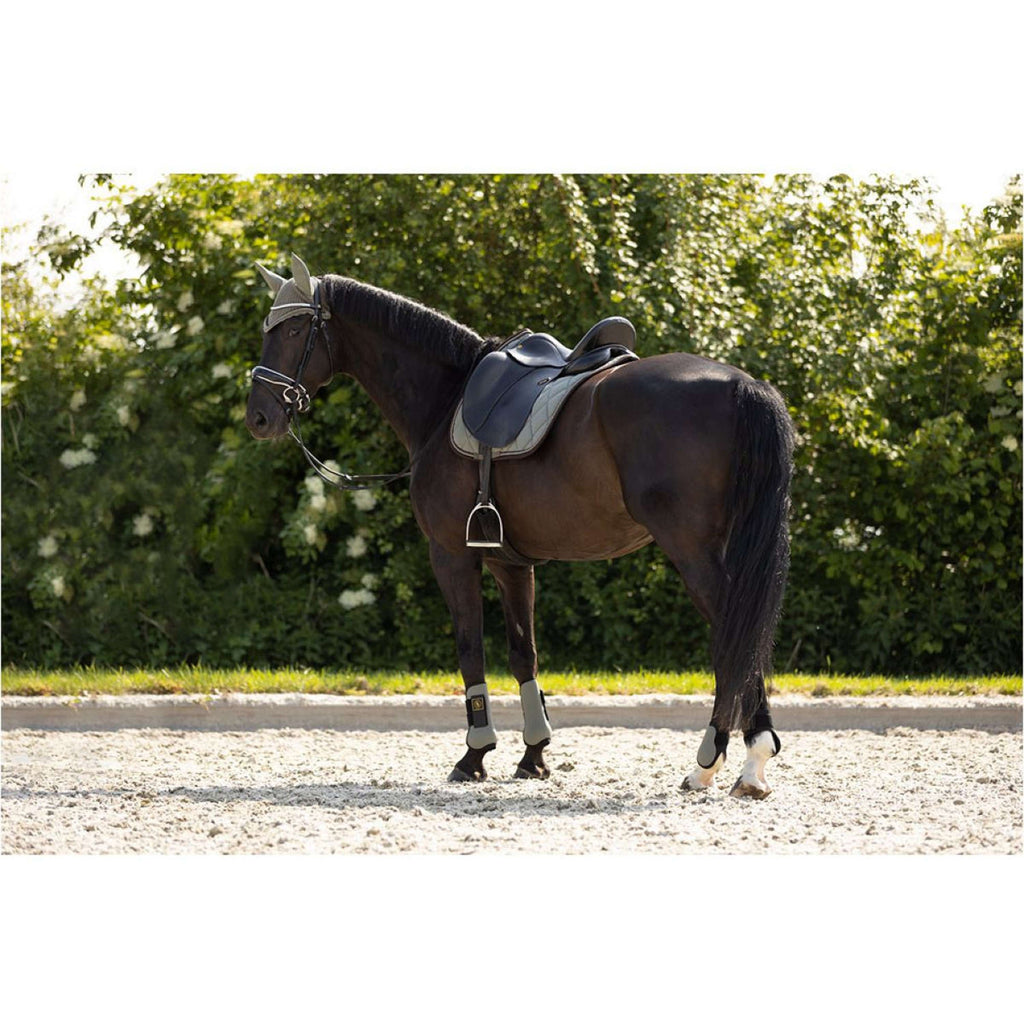 BR Botas para tendones Event Neopreen Voering Mulled Basil
