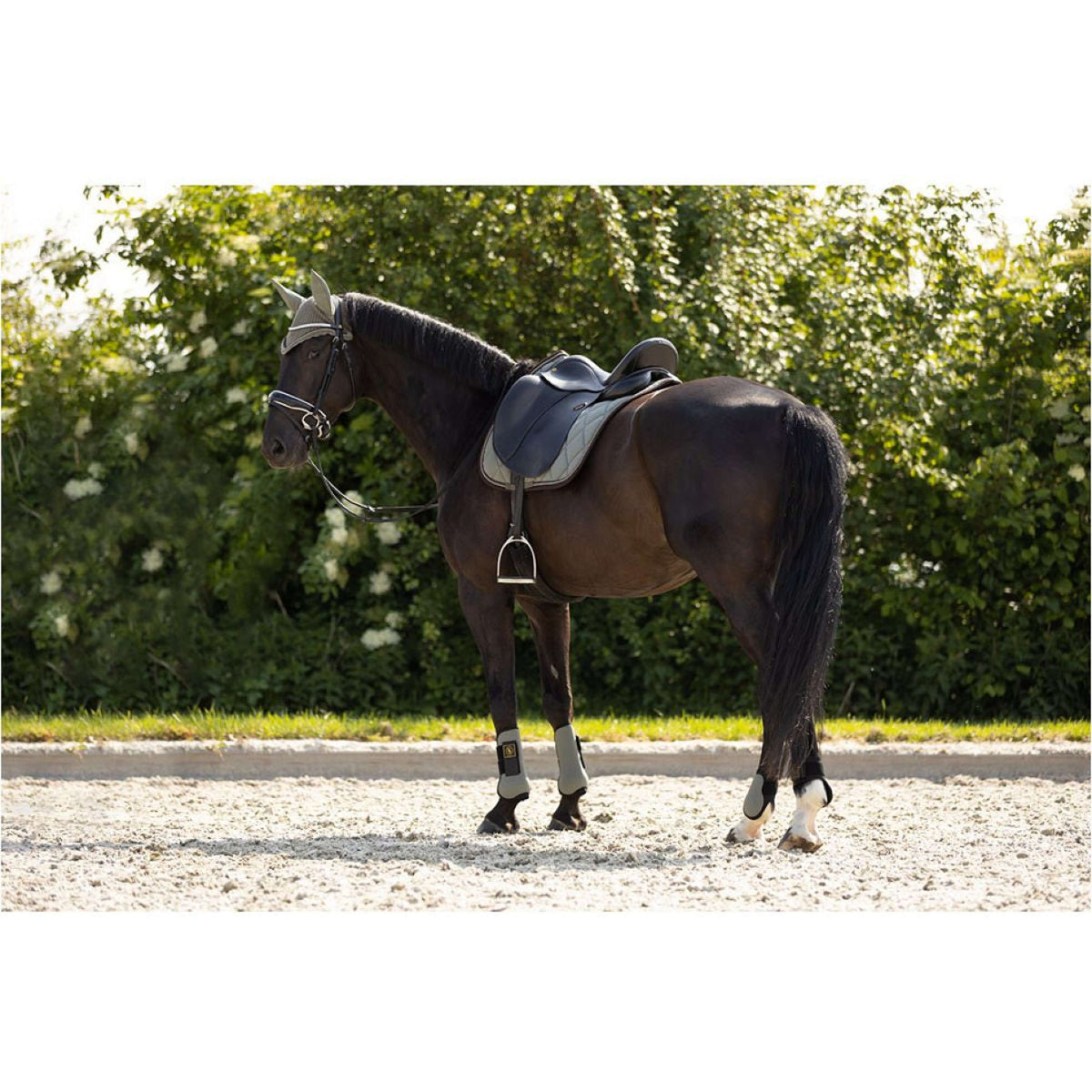 BR Botas para tendones Event Neopreen Voering Mulled Basil