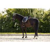 BR Botas para tendones Event Neopreen Voering Mulled Basil