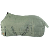 Premiere Manta de Establo AW25 210D 200g Duck Green