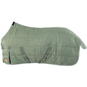 Premiere Manta de Establo AW25 210D 200g Duck Green