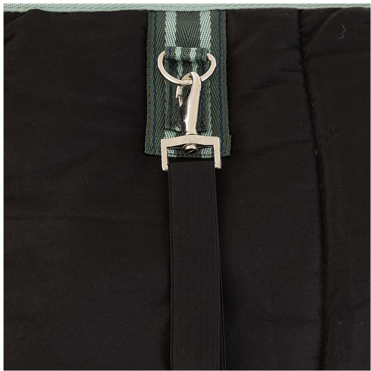 Premiere Manta de Establo AW25 210D 200g Duck Green