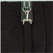 Premiere Manta de Establo AW25 210D 200g Duck Green