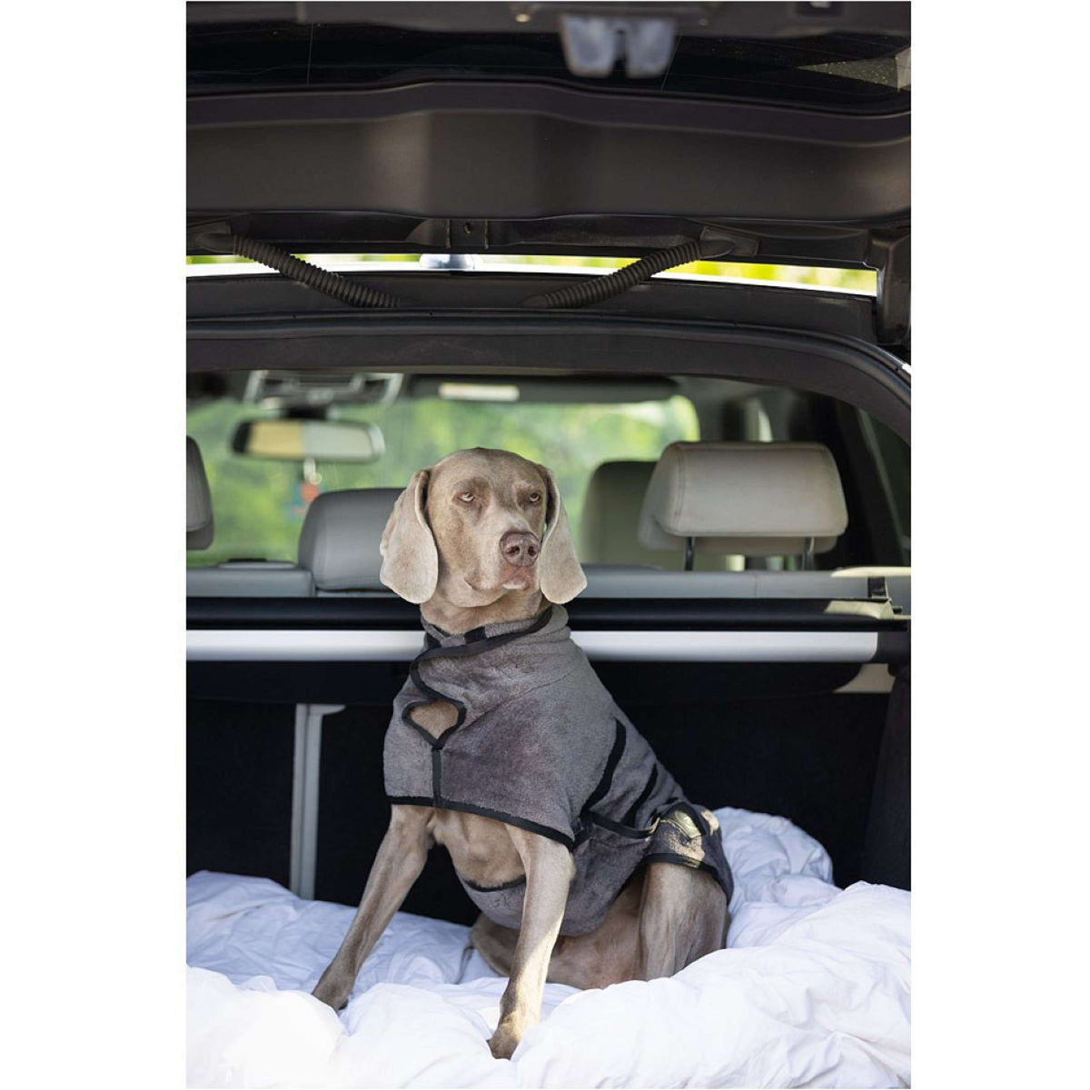 BR Bata para Perros Grey Asphalt