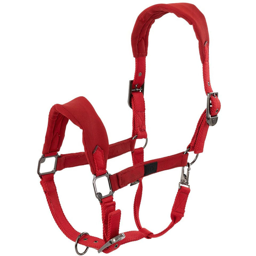 BR Cabezada AW25 Jessy Rojo Tango