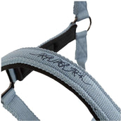 BR Cabezada AW25 Eevolv Josh Ashley Blue
