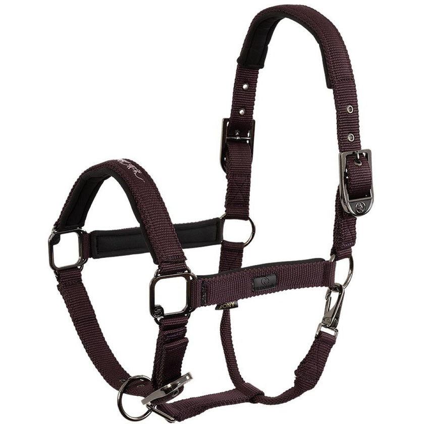 BR Cabezada AW25 Eevolv Josh Raisin
