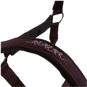 BR Cabezada AW25 Eevolv Josh Raisin