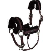 BR Cabezada AW25 Eevolv Jonne Raisin