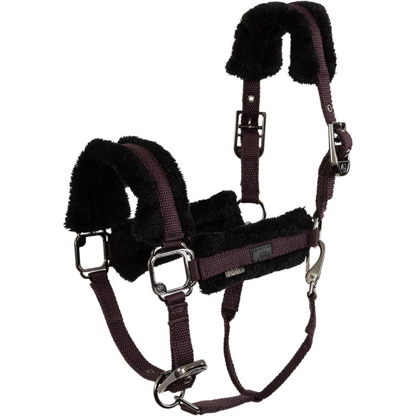 BR Cabezada AW25 Eevolv Jonne Raisin BR Cabezada AW25 Eevolv Jonne Raisin