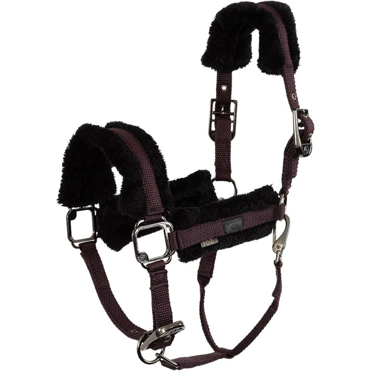 BR Cabezada AW25 Eevolv Jonne Raisin