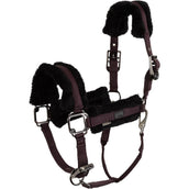 BR Cabezada AW25 Eevolv Jonne Raisin