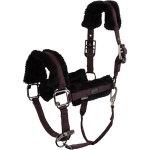 BR Cabezada AW25 Eevolv Jonne Raisin