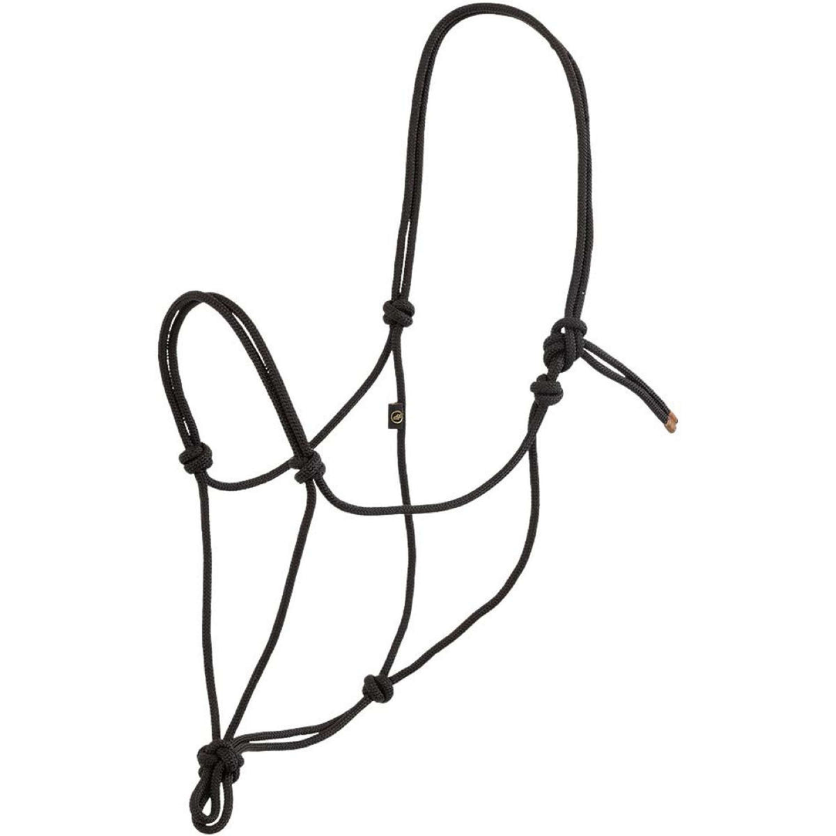 BR Cabezada de Cuerda Meteorite