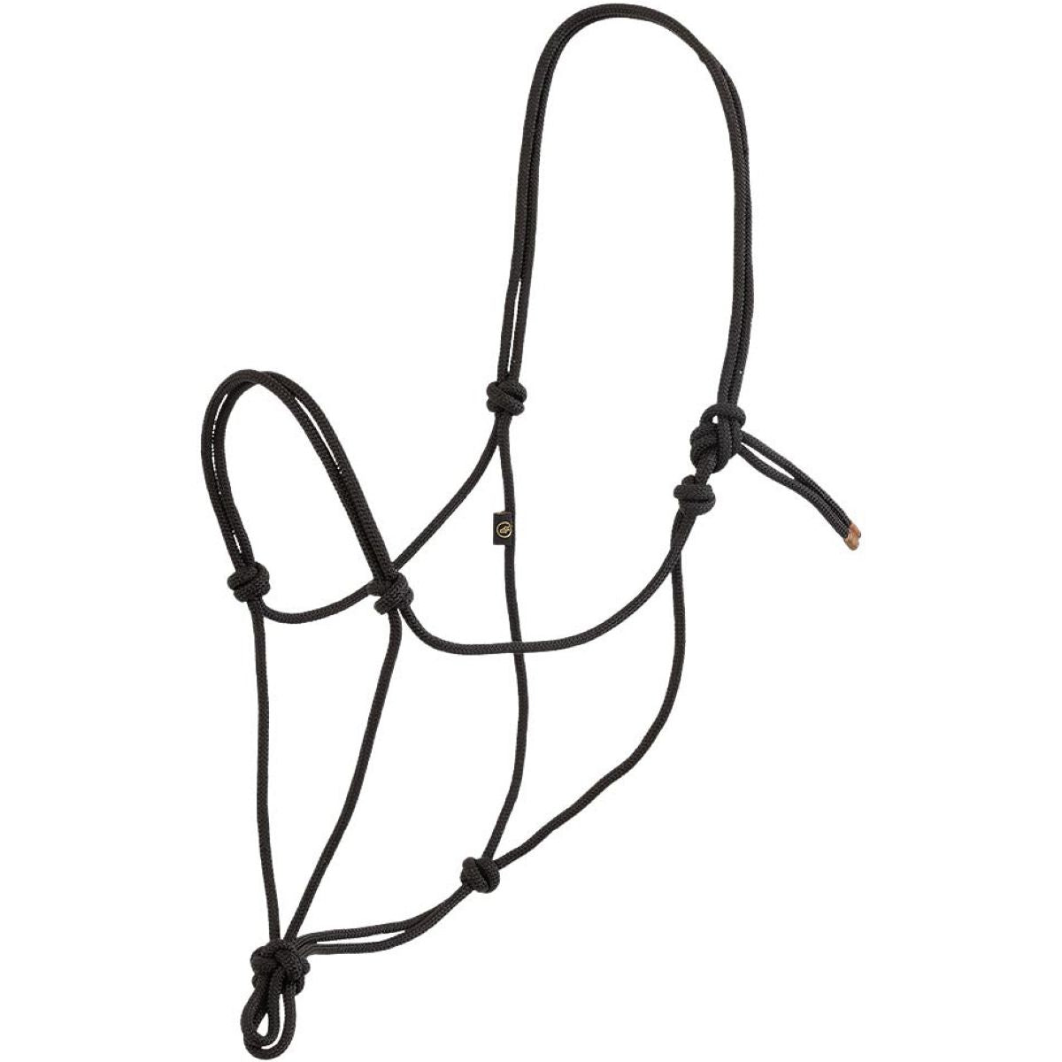 BR Cabezada de Cuerda Meteorite