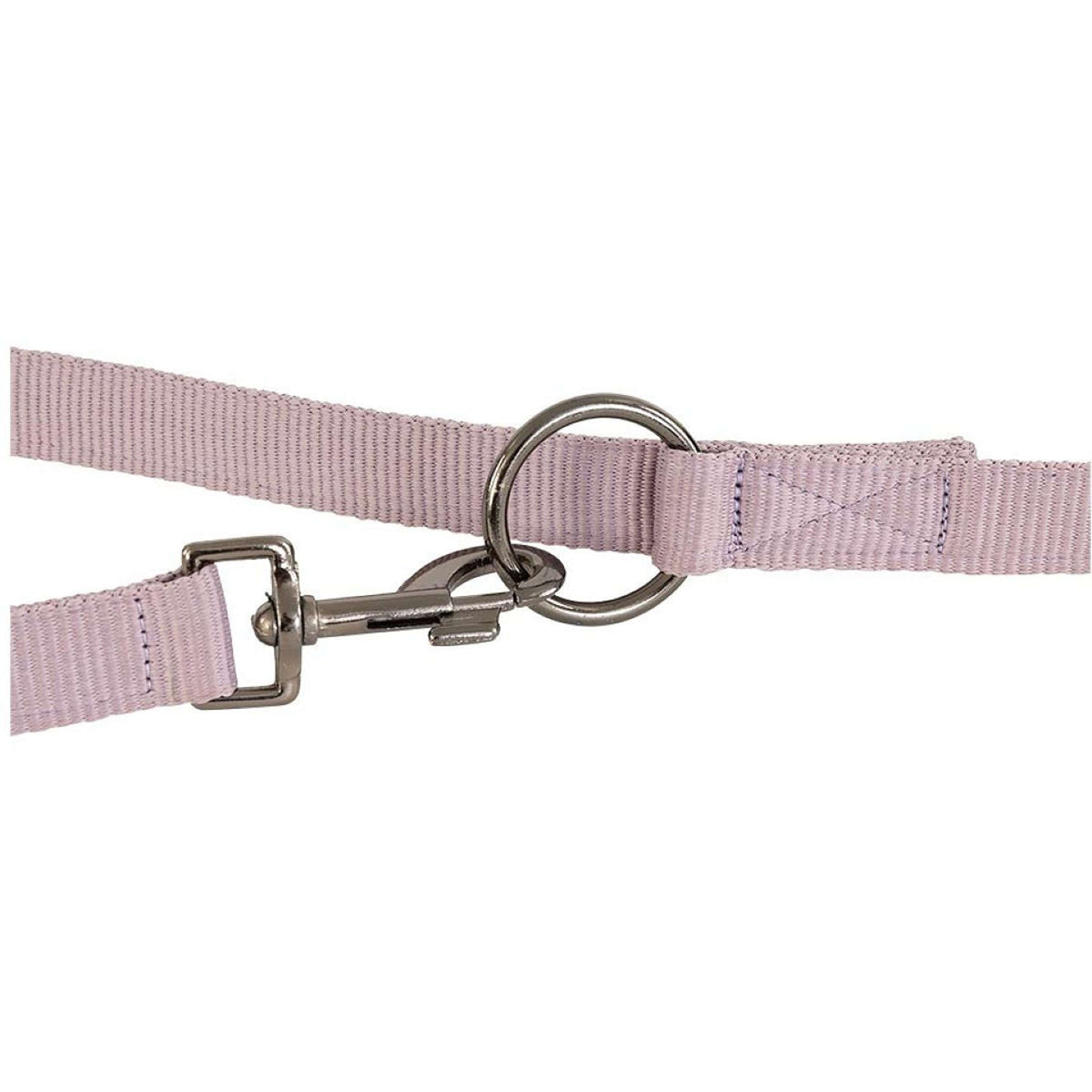 BR Correa para Perro AW25 Nirvana