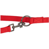 BR Correa para Perro AW25 Rojo Tango