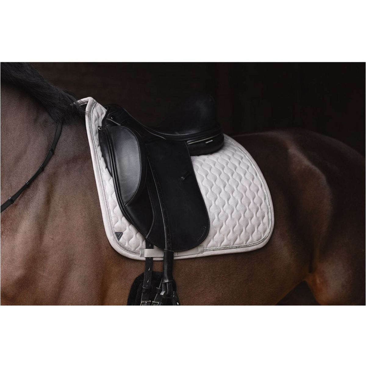 ANKY Mantilla XB25002 Gris niebla