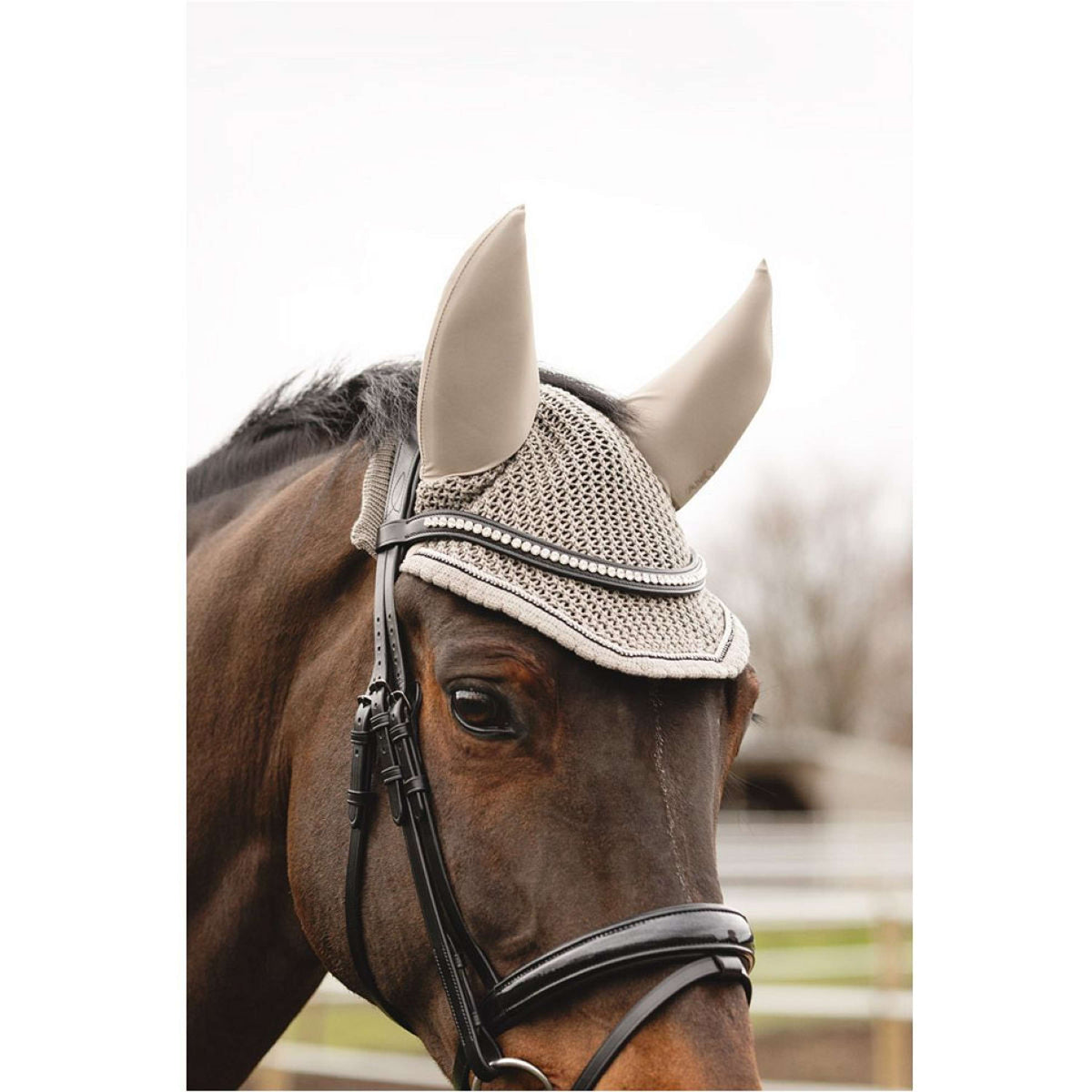 ANKY Bonete para Orejas ATB25007 3C Moon Rock