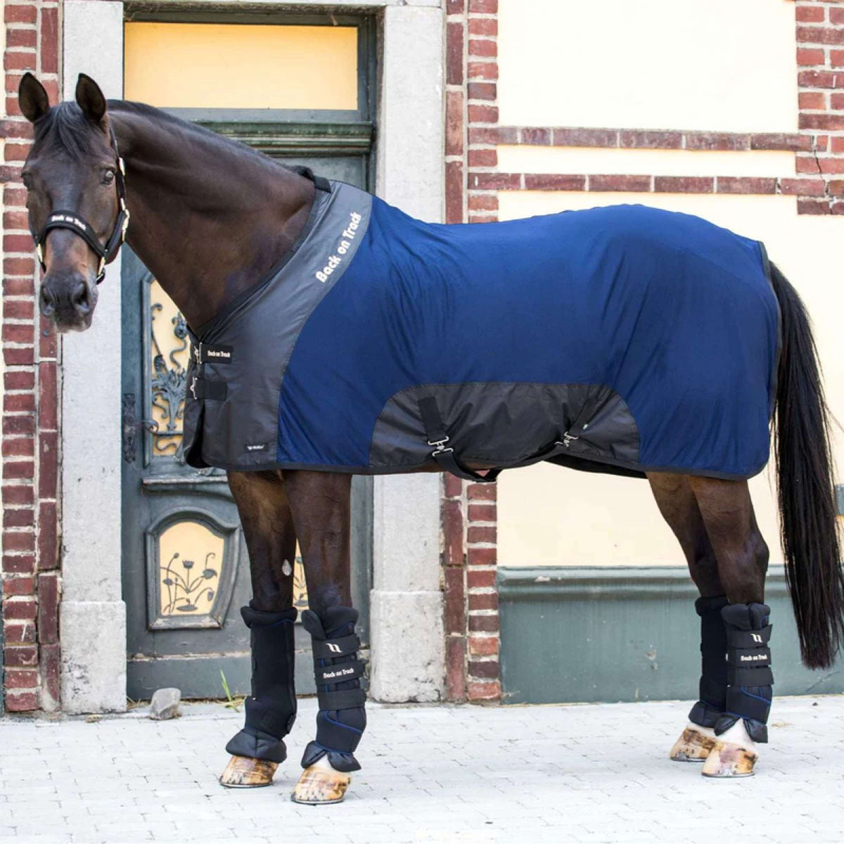 Back on Track Manta de Malla Royal Deluxe Azul