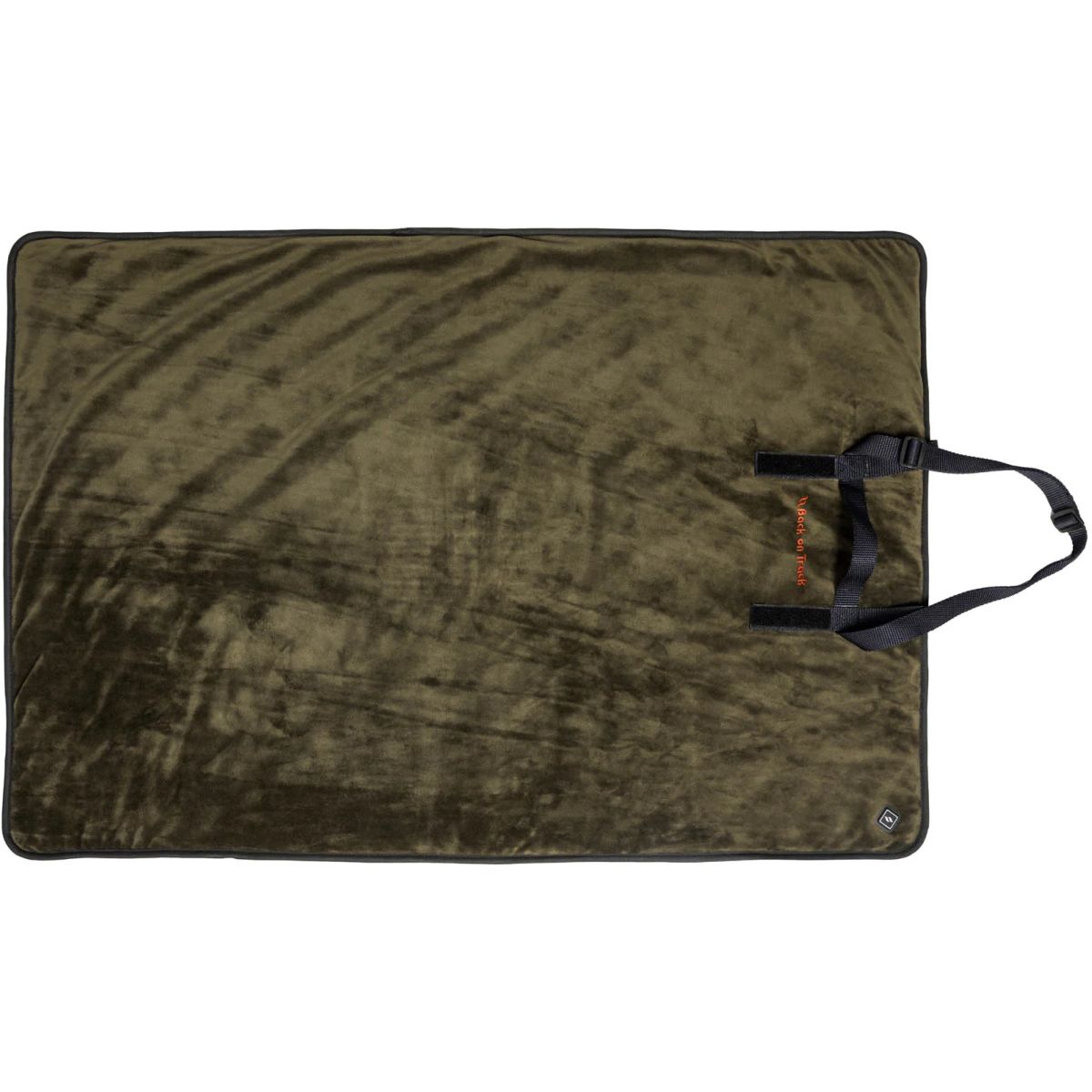 Back on Track Manta eléctrica