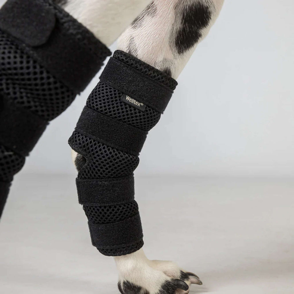 Back on Track Protector de corvejón Dixie Perro Negro