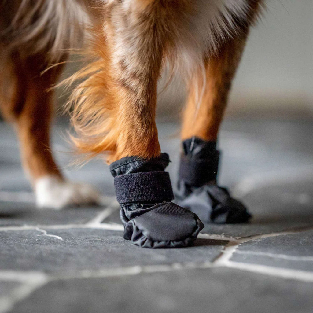 Back on Track Zapatos para Perros Koda Negro