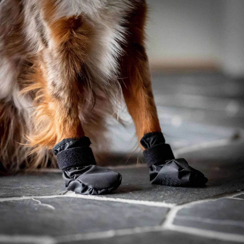 Back on Track Zapatos para Perros Koda Negro