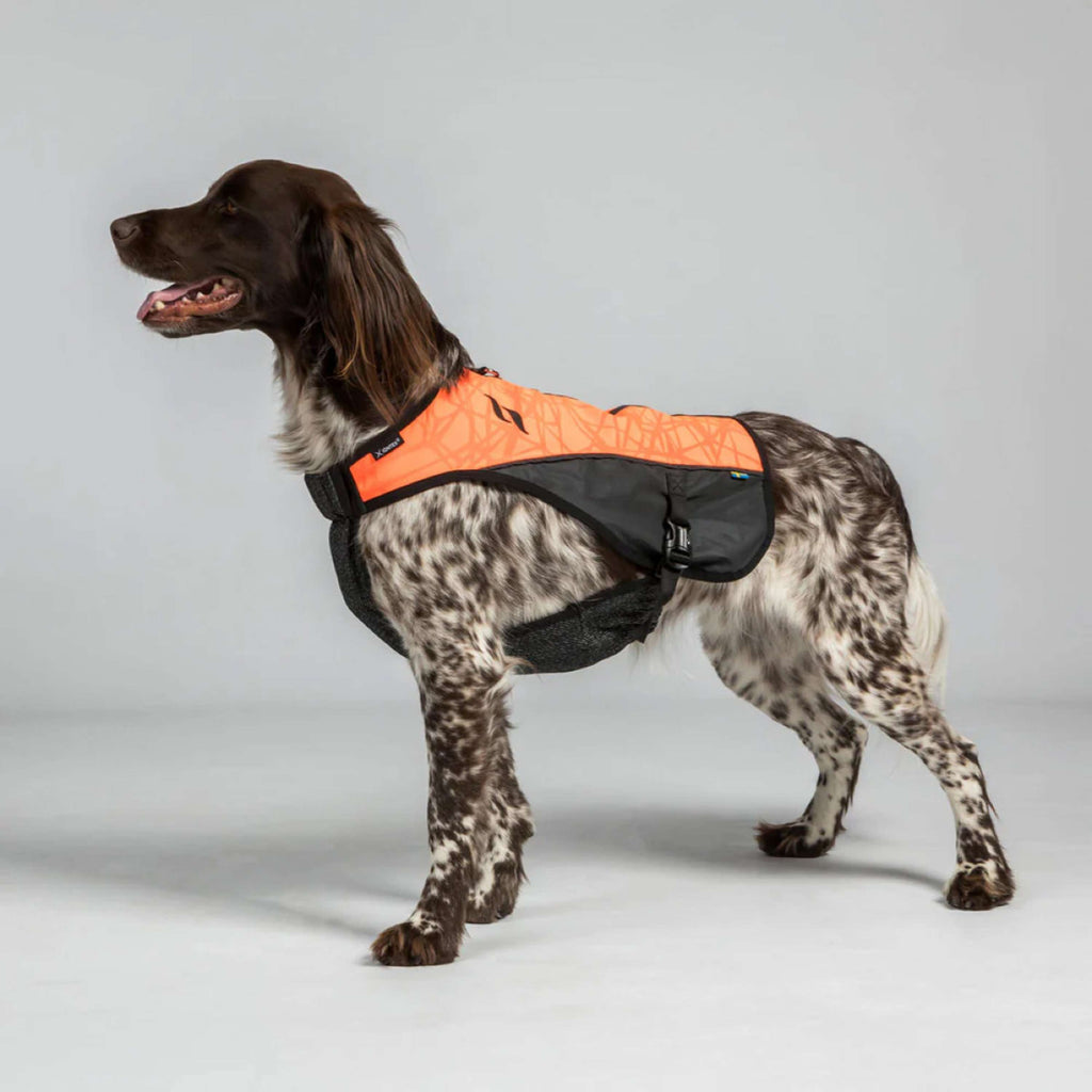 Back on Track Abrigo para Perro TRAKK Reflectante Naranja