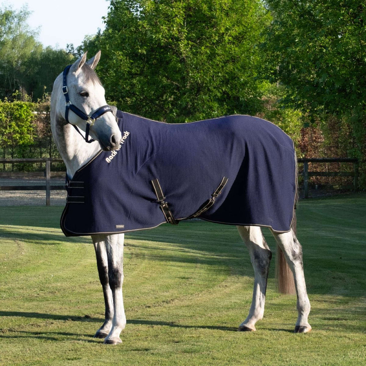 Back On Track Cooler Quick Azul