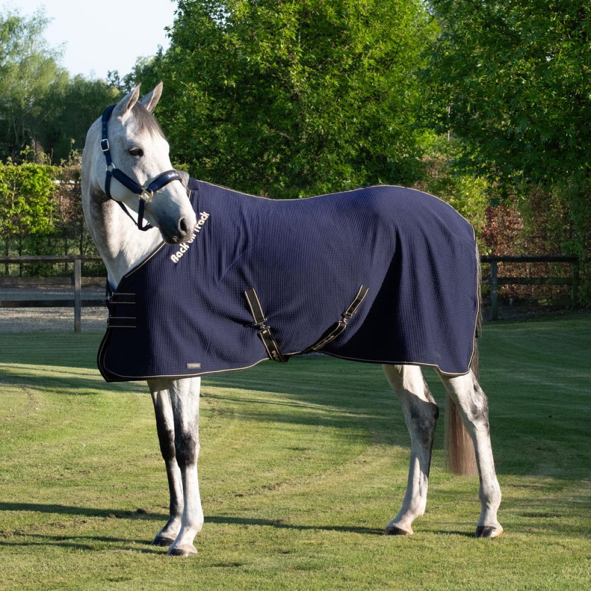 Back On Track Cooler Quick Azul