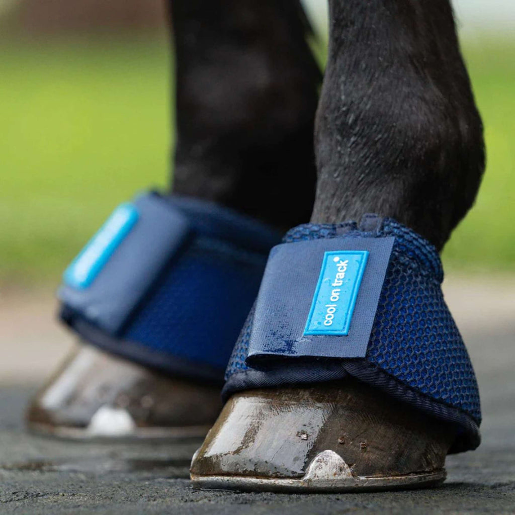 Back on Track Campanas Refrigerantes Azul