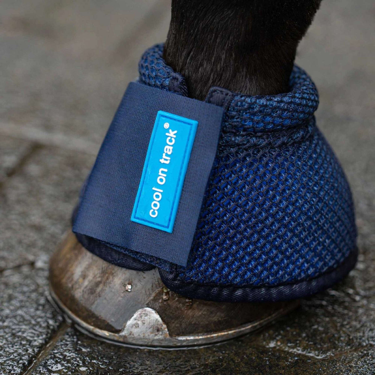 Back on Track Campanas Refrigerantes Azul