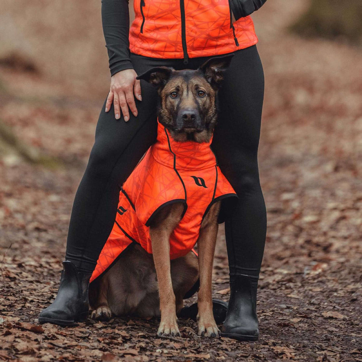 Back on Track Chaleco Flash High Visibility Naranja